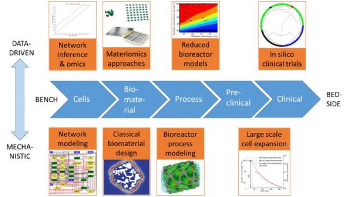 Schematic representation of the tissue engineering research and development process (horizontally) and the computer model classification (vertically).  Figure is taken from: Geris, L., Lambrechts, T., Carlier, A., Papantoniou, I. (2018) The future is digital: in silico tissue engineering. Current Opinion in Biomedical Engeering,<a href=