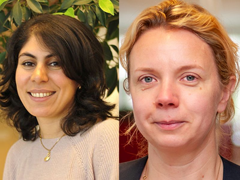 Brightlands webinar science lectures